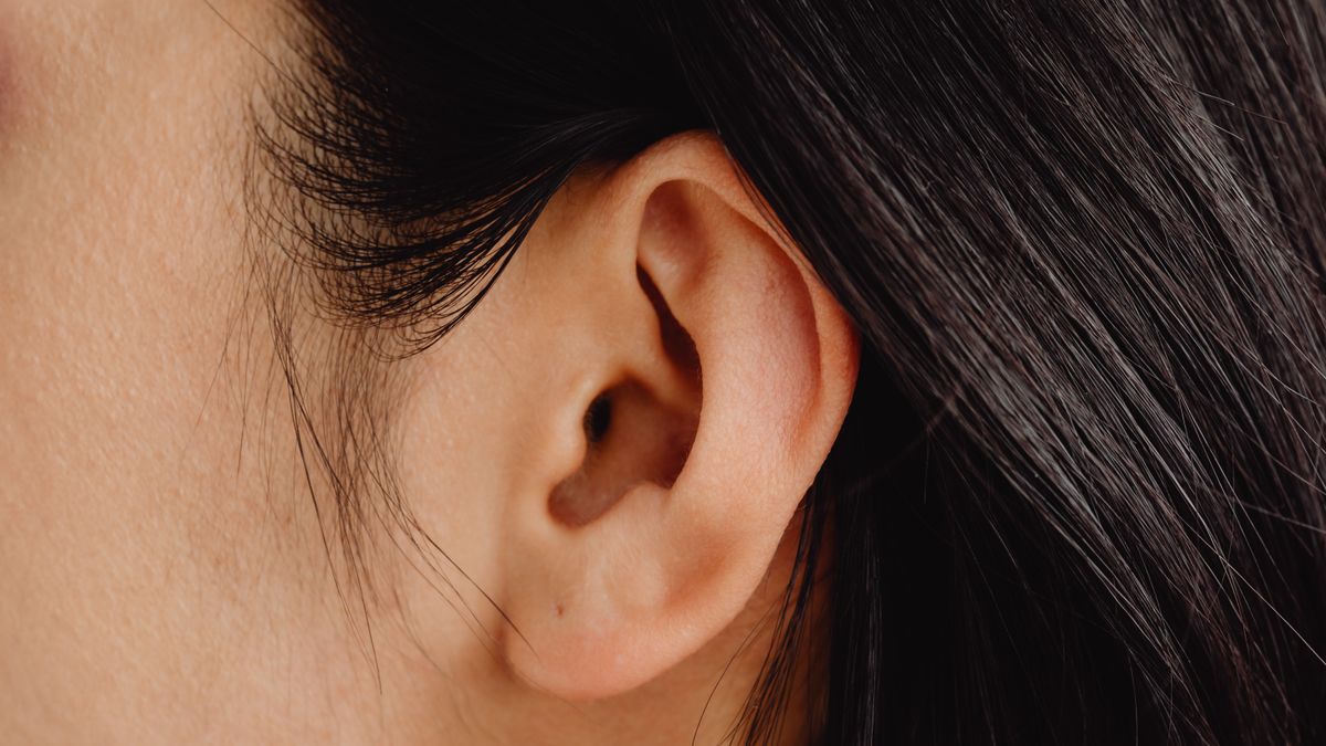 Gros plan sur une oreille, à l'endroit où se placent les appareils auditifs